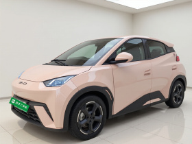 比亚迪 海鸥 2023款 自由版