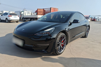 特斯拉 Model 3 2022款 Performance高性能全轮驱动版