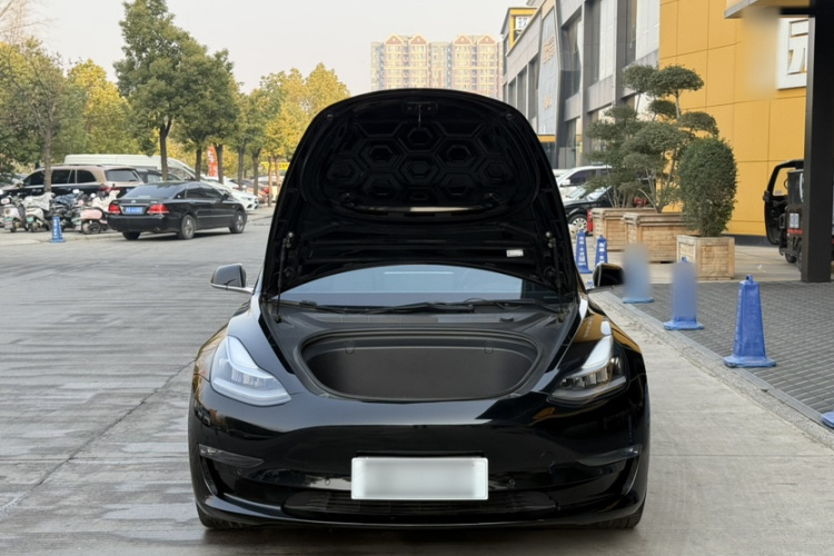特斯拉 Model 3(进口) 2019款 长续航后驱版局部细节24
