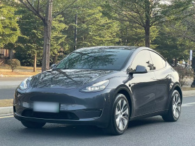 特斯拉 Model Y 2022款 长续航全轮驱动版