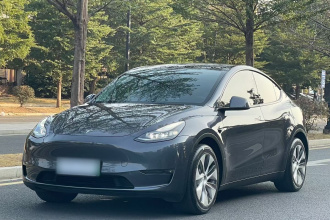 特斯拉 Model Y 2022款 长续航全轮驱动版