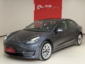 特斯拉 Model 3 2021款 标准续航后驱升级版 3D6
