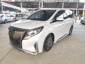 广汽传祺 传祺M8 2021款 大师系列 390T 至尊版