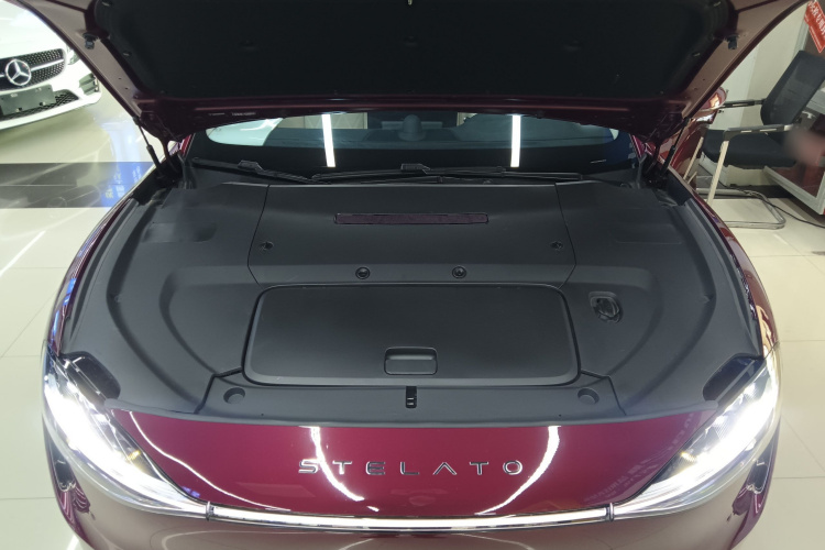 鸿蒙智行 享界S9 2024款 纯电 Ultra 四驱旗舰版局部细节24