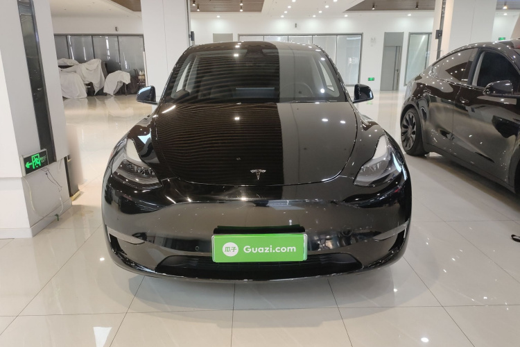 特斯拉 Model Y 2021款 Performance高性能全轮驱动版车身外观2