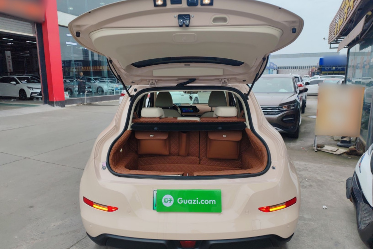 欧拉好猫 2022款 400km标准续航 豪华型 磷酸铁锂机舱底盘23