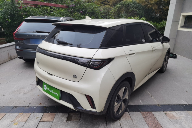 比亚迪 海豚 2023款 420km 自由版车身外观6005