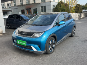 比亚迪 海豚 2023款 401km 骑士版