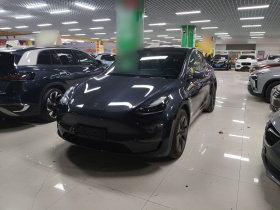 特斯拉 Model Y 2024款 长续航全轮驱动版