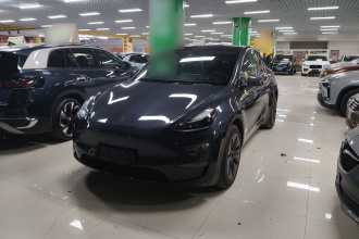 特斯拉 Model Y 2024款 长续航全轮驱动版