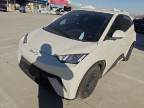 比亚迪 海鸥 2025款 305km 活力版