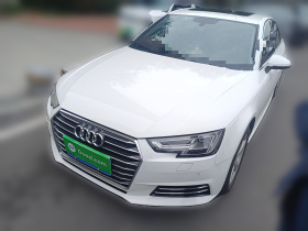 奥迪A4L 2017款 Plus 40 TFSI 时尚型