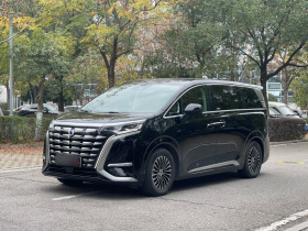 腾势D9 2024款 DM-i 980 四驱旗舰型