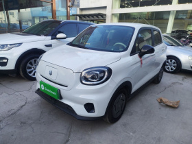 零跑汽车 零跑T03 2024款 200轻享版