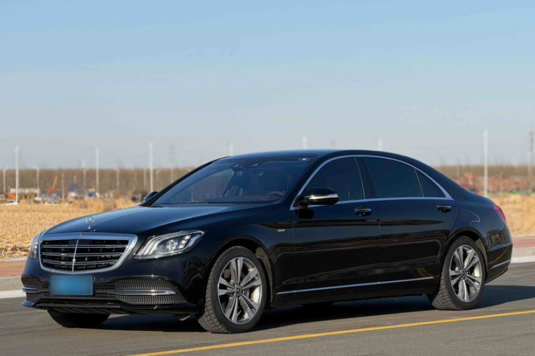 奔驰S级 2019款 S 350 L 豪华型 臻藏版车身外观6003
