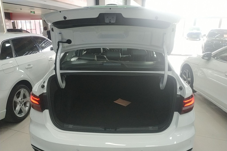 大众 朗逸 2024款 300TSI DSG星空领先版局部细节23