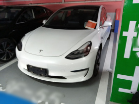 特斯拉 Model 3(进口) 2019款 长续航后驱版