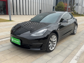 特斯拉 Model 3 2020款 长续航后轮驱动版