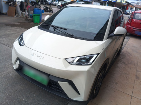 比亚迪 海鸥 2025款 305km 自由版