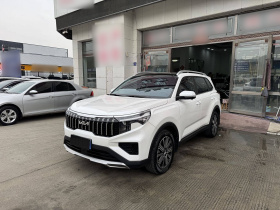 起亚 智跑 2021款 Ace 2.0L 精彩版