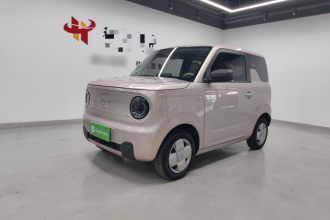 吉利银河 2023款 熊猫mini 200km 耐力熊