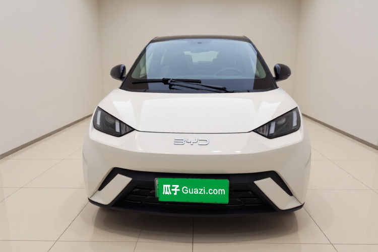 比亚迪 海鸥 2025款 305km 活力版车身外观2