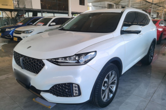 魏牌 VV6 2020款 2.0T 两驱智享+