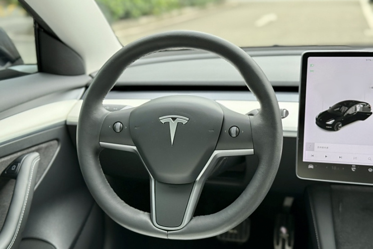 特斯拉 Model 3 2021款 标准续航后驱升级版 3D6局部细节13