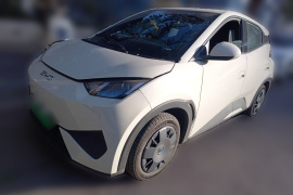 比亚迪 海鸥 2025款 305km 活力版