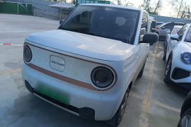 吉利银河 2024款 熊猫mini 200km 龙腾PRO版