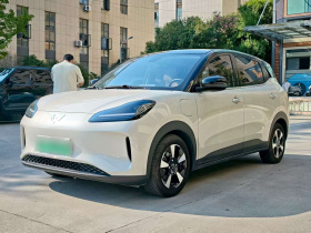 五菱汽车 五菱缤果PLUS 2024款 510km 五座版