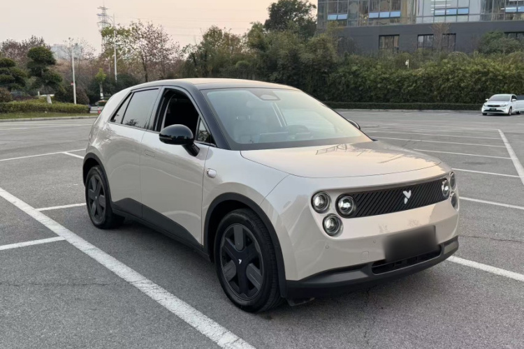 firefly萤火虫 2025款 发光版车身外观6003