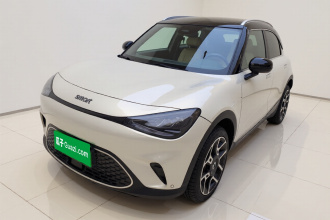 smart精灵#1 2022款 Pulse心动版