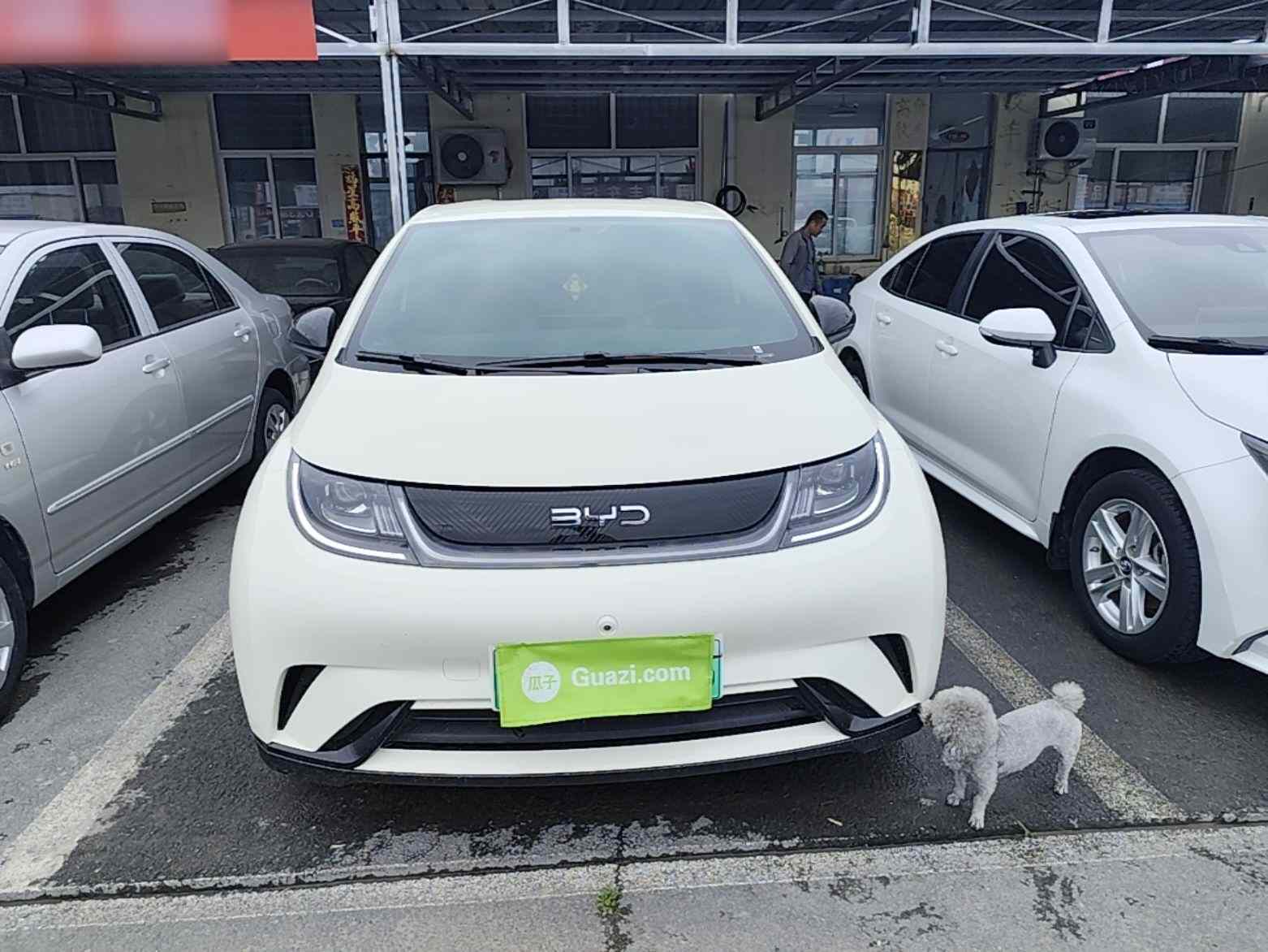 比亚迪 海豚 2025款 420km 自由版(1)
