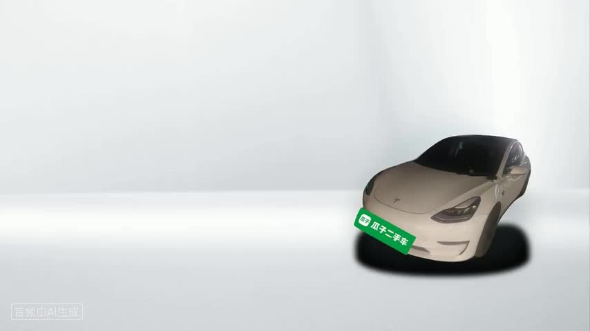 特斯拉 Model 3(进口) 2019款 长续航全轮驱动版检测视频1