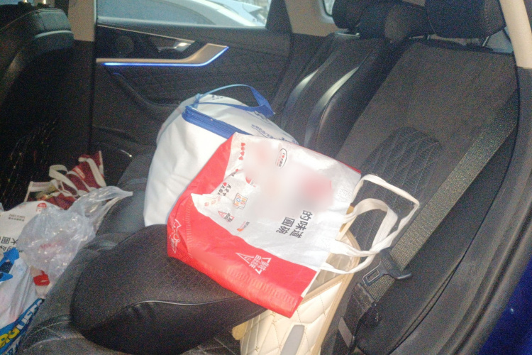 红旗HS5 2019款 2.0T 智联旗享版中控内饰7004