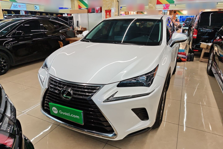 雷克萨斯NX 2017款 300 前驱 锋行版车身外观1