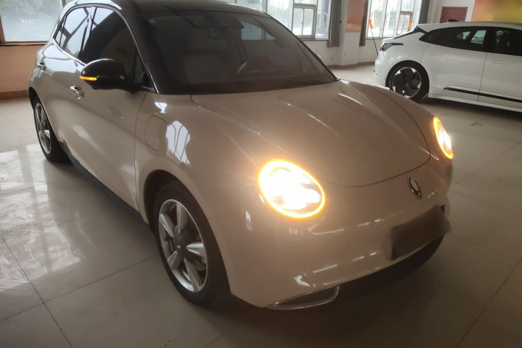 欧拉好猫 2022款 莫兰迪版 400km标准续航 尊贵型 磷酸铁锂车身外观6002