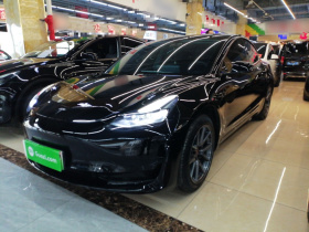 特斯拉 Model 3 2022款 后轮驱动版