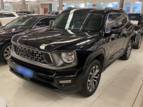 哈弗大狗 PLUS 2023款 1.5T 两驱潮野版Plus