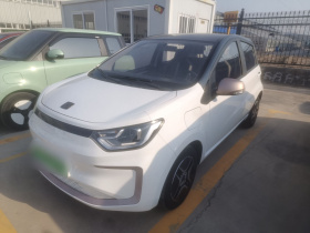 思皓 2022款 花仙子款 四叶草