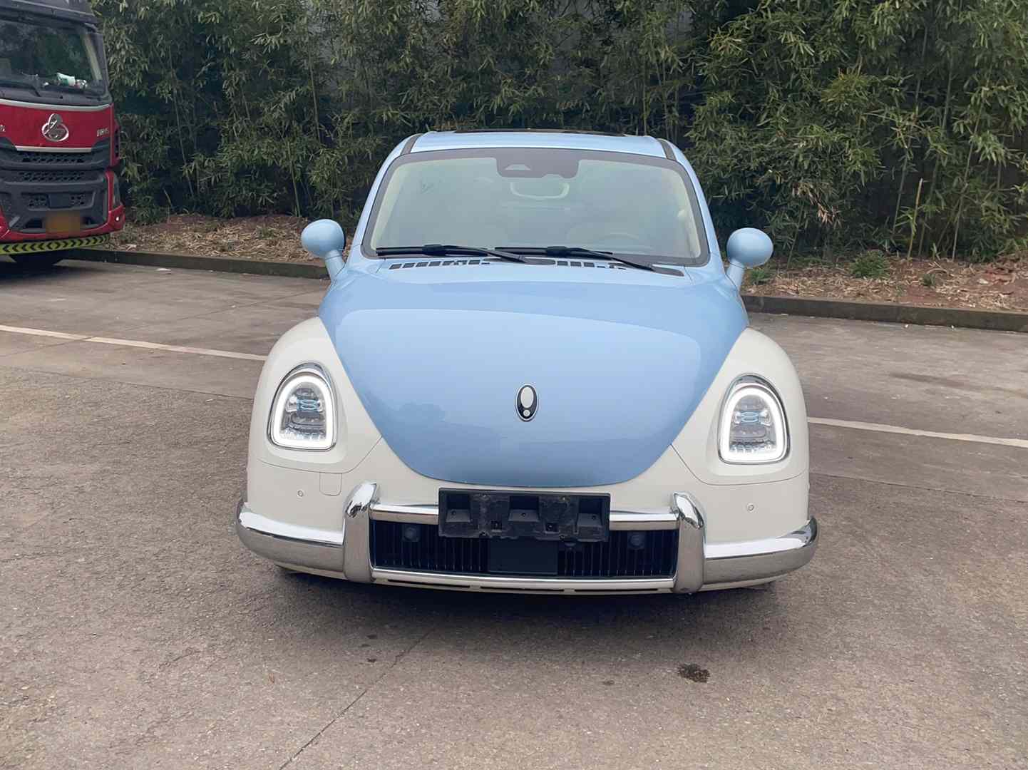欧拉芭蕾猫 2023款 401km 尊贵型(1)