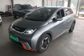 比亚迪 海豚 2021款 405km 自由版