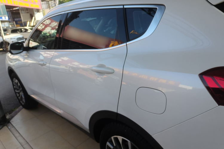 哈弗H6 2020款 1.5GDIT 自动铂金冠军版车身外观6003