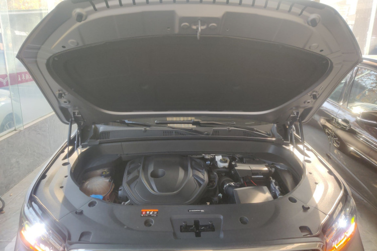 吉利汽车 星越L 2021款 2.0TD 高功自动四驱旗舰型局部细节24