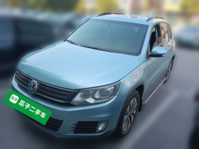 大众 途观 2015款 1.4TSI 手动两驱蓝驱版