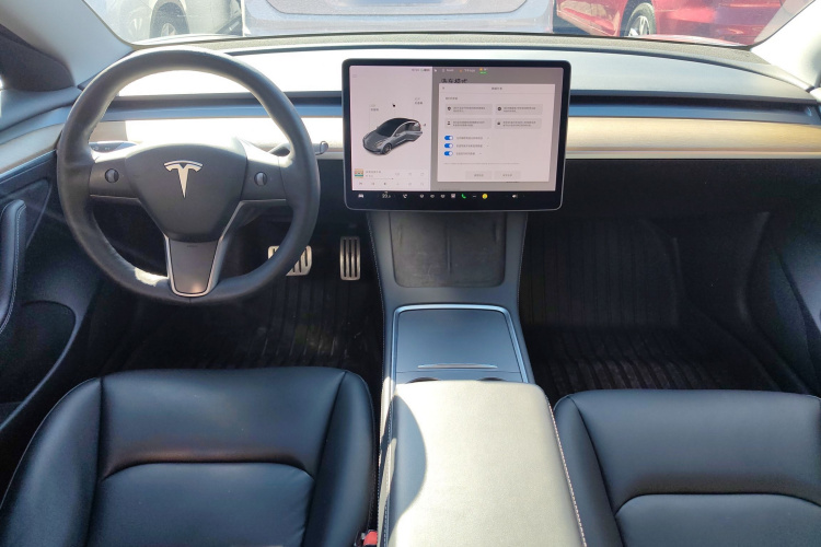 特斯拉 Model 3 2021款 Performance高性能全轮驱动版中控内饰12