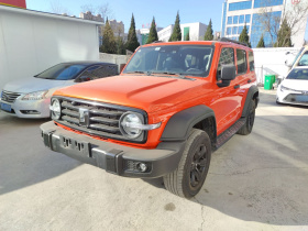 坦克300 2024款 2.0T 挑战者