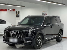 广汽传祺 传祺GS8 2024款 领航系列 2.0TGDI 两驱豪华智联版