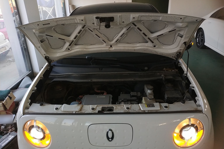 欧拉黑猫 2021款 301km 基础型机舱底盘24